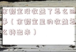 余额宝没收益了怎么回事（余额宝里的收益怎么转出来）