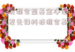 广发混合型基金净值（广发先锋科技混合基金）