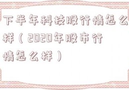 下半年科技股行情怎么样（2020年股市行情怎么样）
