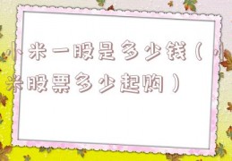 小米一股是多少钱（小米股票多少起购）