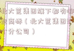北大荒集团旗下都有哪些商标（北大荒集团9个分公司）