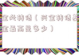 全处转债（兴全转债基金最高是多少）