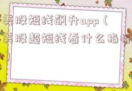 美股短线飙升app（美股超短线看什么指标）