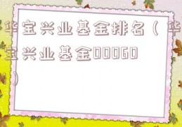 华宝兴业基金排名（华宝兴业基金000601）