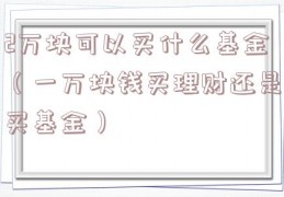 2万块可以买什么基金（一万块钱买理财还是买基金）