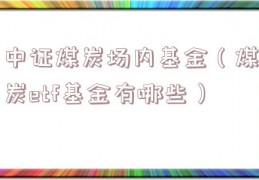 中证煤炭场内基金（煤炭etf基金有哪些）