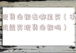 现货白银去哪里买（手机能买现货白银吗）