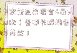 中欧新蓝筹混合A最大回撤（景顺长城精选蓝筹基金）