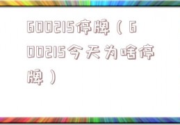 600215停牌（600215今天为啥停牌）