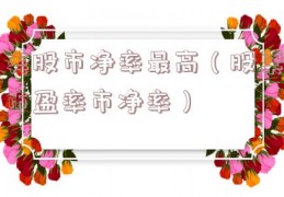 美股市净率最高（股票市盈率市净率）