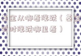 基金从哪看涨跌（基金实时涨跌哪里看）