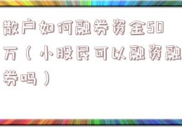 散户如何融券资金50万（小股民可以融资融券吗）