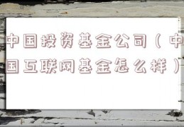 中国投资基金公司（中国互联网基金怎么样）