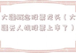 大疆概念股票龙头（大疆无人机股票上市了）