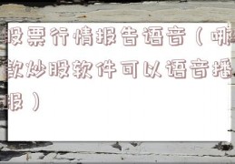股票行情报告语音（哪款炒股软件可以语音播报）