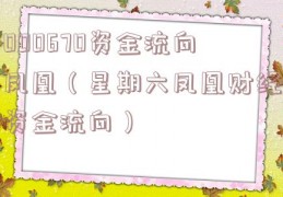 000670资金流向凤凰（星期六凤凰财经资金流向）