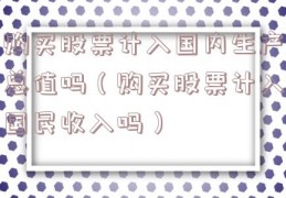 购买股票计入国内生产总值吗（购买股票计入国民收入吗）