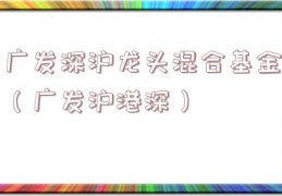 广发深沪龙头混合基金（广发沪港深）