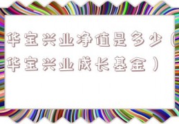 华宝兴业净值是多少（华宝兴业成长基金）