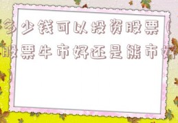 多少钱可以投资股票（股票牛市好还是熊市好）