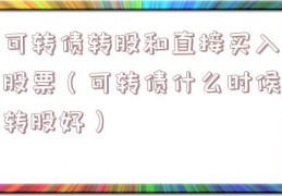 可转债转股和直接买入股票（可转债什么时候转股好）