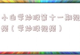 小白学炒股第十一期视频（学炒股视频）