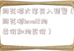 同花顺大笔买入预警（同花顺level2均卖价和均买价）