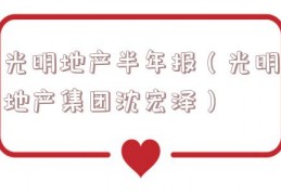 光明地产半年报（光明地产集团沈宏泽）