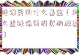 社保买的什么基金（怎么查社保所投资的股票）
