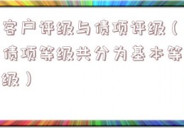 客户评级与债项评级（债项等级共分为基本等级）