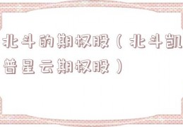 北斗的期权股（北斗凯普星云期权股）
