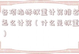 各项指标权重计算排名怎么计算（什么是权重）