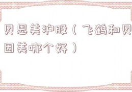 贝恩美沪股（飞鹤和贝因美哪个好）