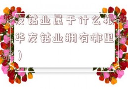 华友钴业属于什么板块（华友钴业拥有哪里的矿）