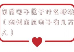 东尼电子属于什么板块（湖州东尼电子有几万人）