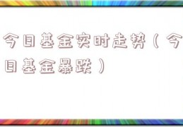 今日基金实时走势（今日基金暴跌）