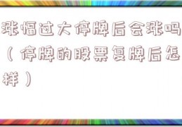 涨幅过大停牌后会涨吗（停牌的股票复牌后怎样）