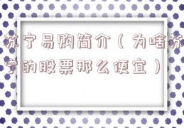 苏宁易购简介（为啥苏宁的股票那么便宜）