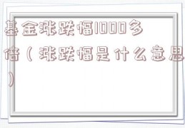 基金涨跌幅1000多倍（涨跌幅是什么意思）