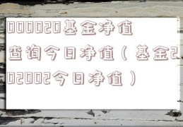 000020基金净值查询今日净值（基金202002今日净值）