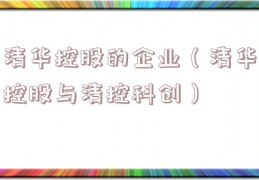清华控股的企业（清华控股与清控科创）