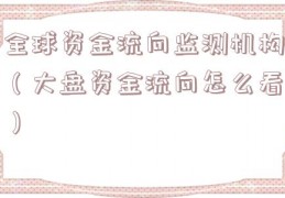 全球资金流向监测机构（大盘资金流向怎么看）