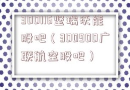 300116坚瑞沃能股吧（300900广联航空股吧）