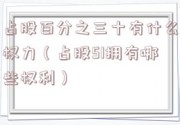 占股百分之三十有什么权力（占股51拥有哪些权利）