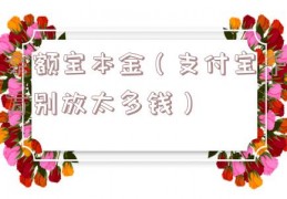 余额宝本金（支付宝千万别放太多钱）
