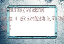 688357建龙微纳股东（建龙微纳上市预测）