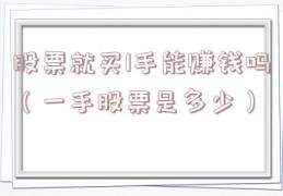 股票就买1手能赚钱吗（一手股票是多少）