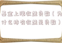 基金上涨收益负数（为什么持有收益是负数）