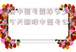 中泰中签号能挣多少钱（今天新股中签号公布）