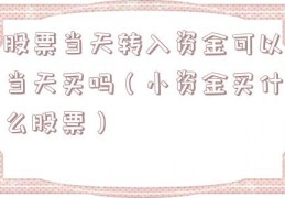股票当天转入资金可以当天买吗（小资金买什么股票）